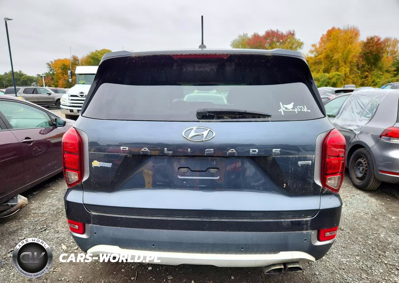 2020 Hyundai Palisade VIN:KM8R2DHEXLU040328 - 6