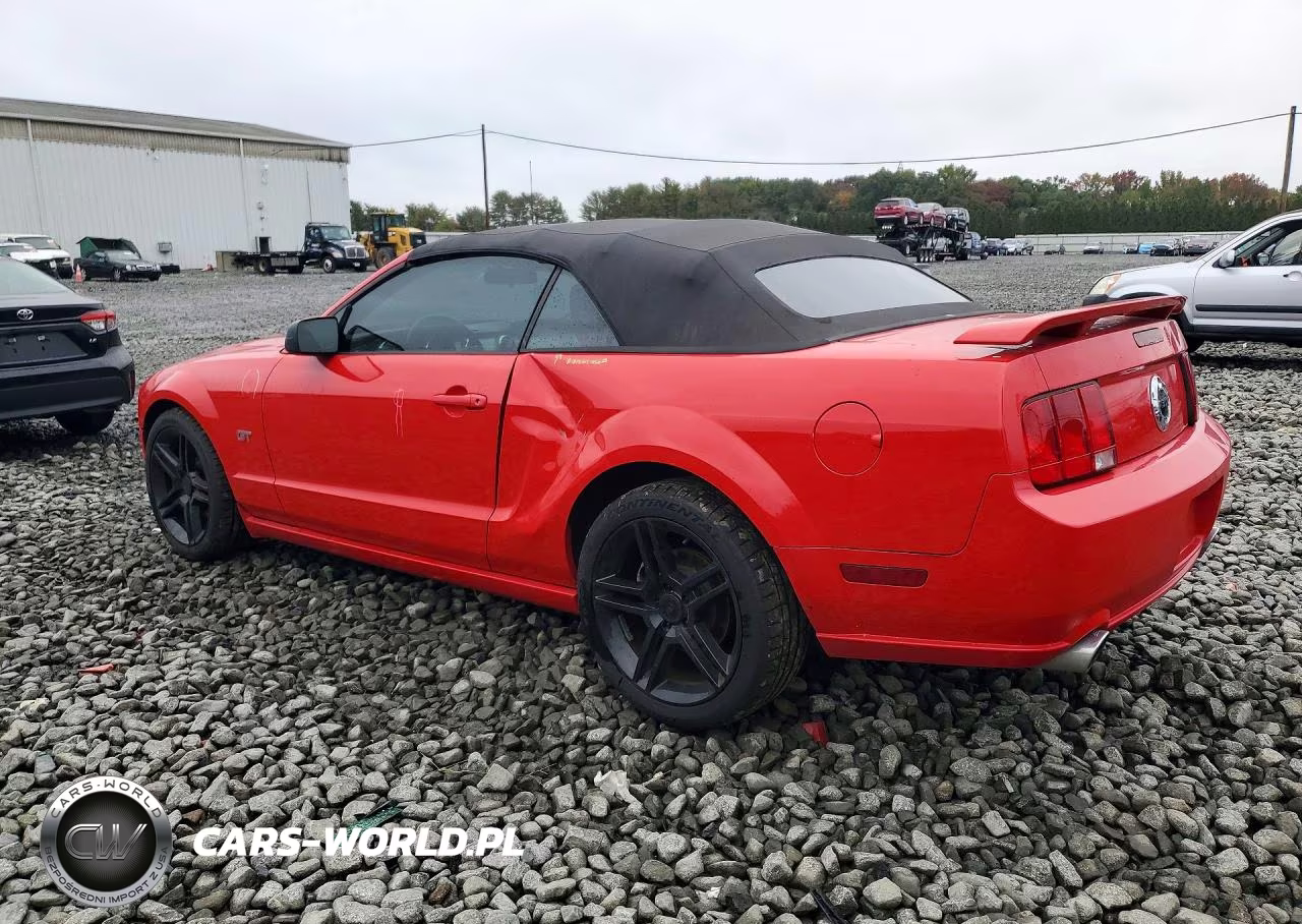 2005 Ford Mustang Gt VIN:1ZVHT85H055251129 - 2