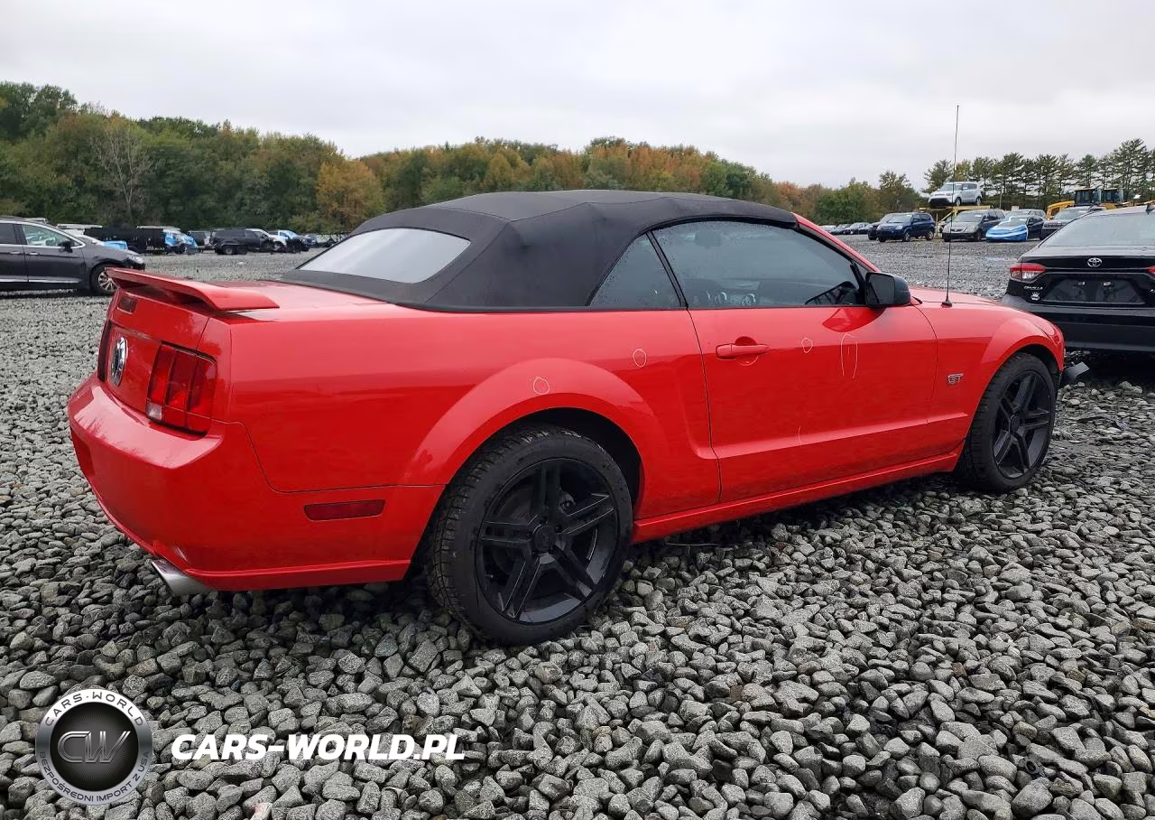 2005 Ford Mustang Gt VIN:1ZVHT85H055251129 - 3