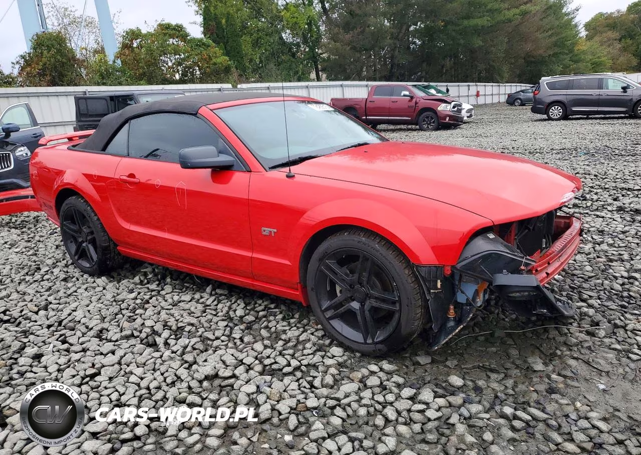 2005 Ford Mustang Gt VIN:1ZVHT85H055251129 - 4