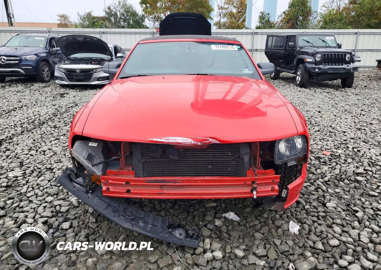 2005 Ford Mustang Gt VIN:1ZVHT85H055251129 - 5