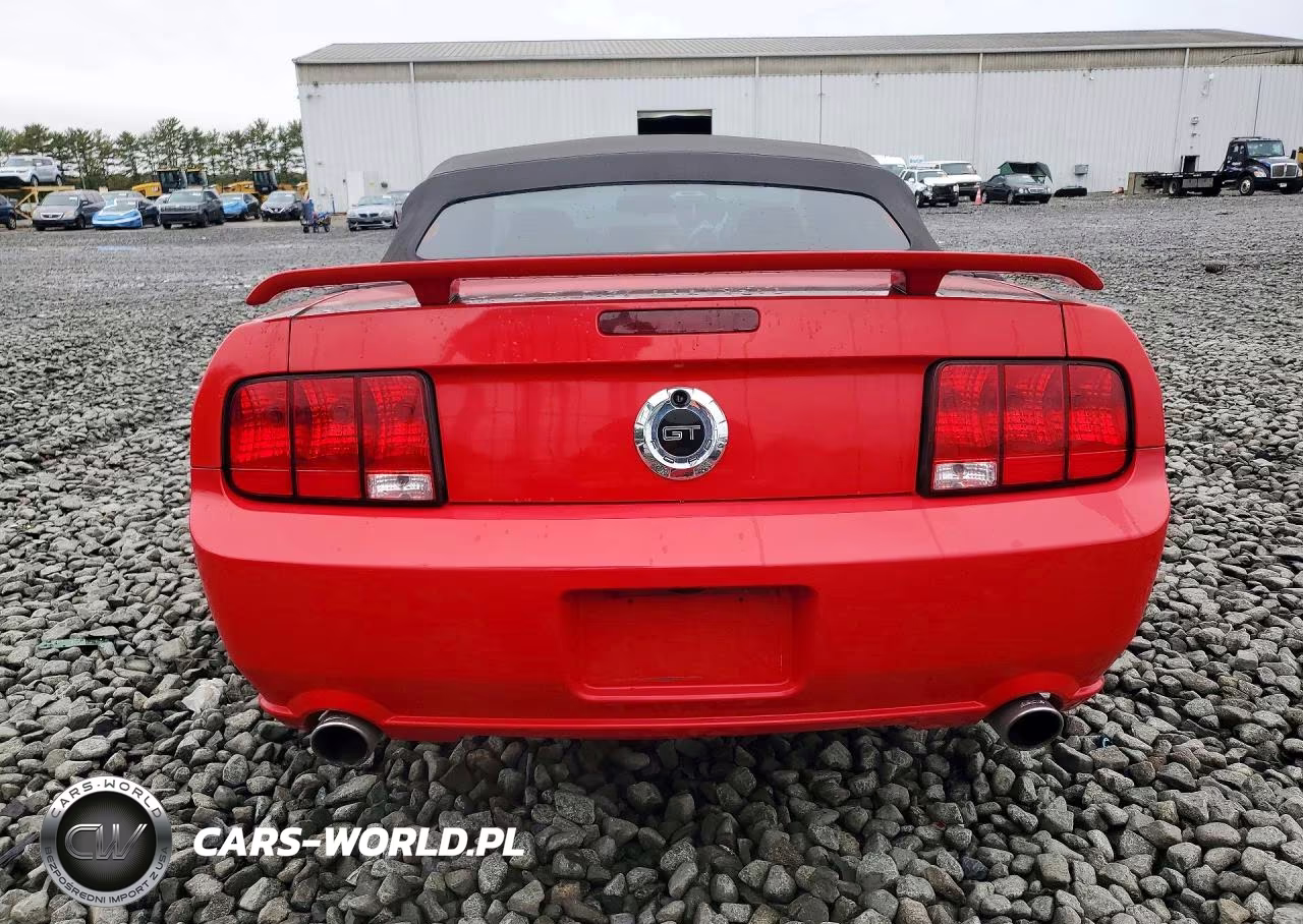 2005 Ford Mustang Gt VIN:1ZVHT85H055251129 - 6