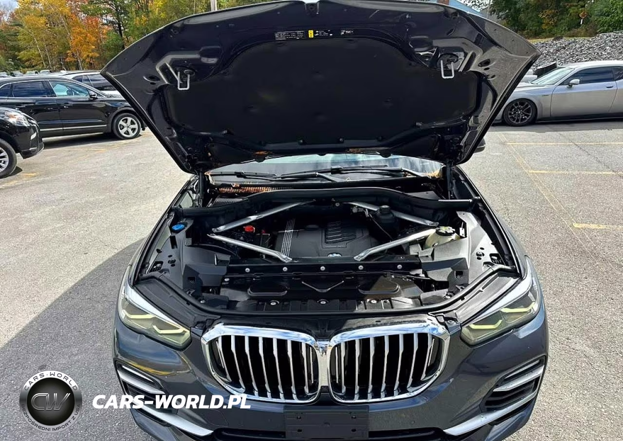 2019 BMW X5 xDrive40I VIN:5UXCR6C58KLL52742 - 7