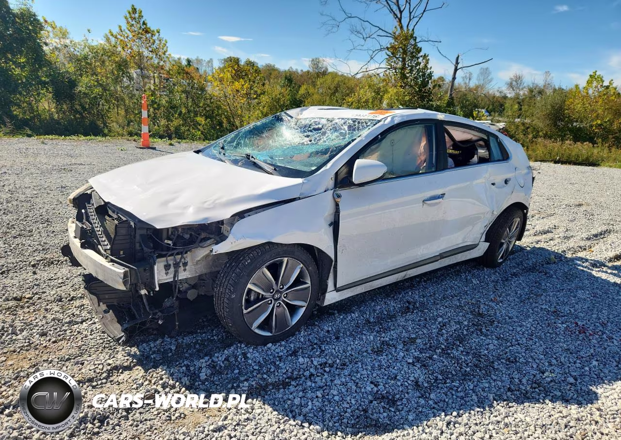 2019 Hyundai Ioniq Limited VIN:KMHC05LC9KU136666 - 1
