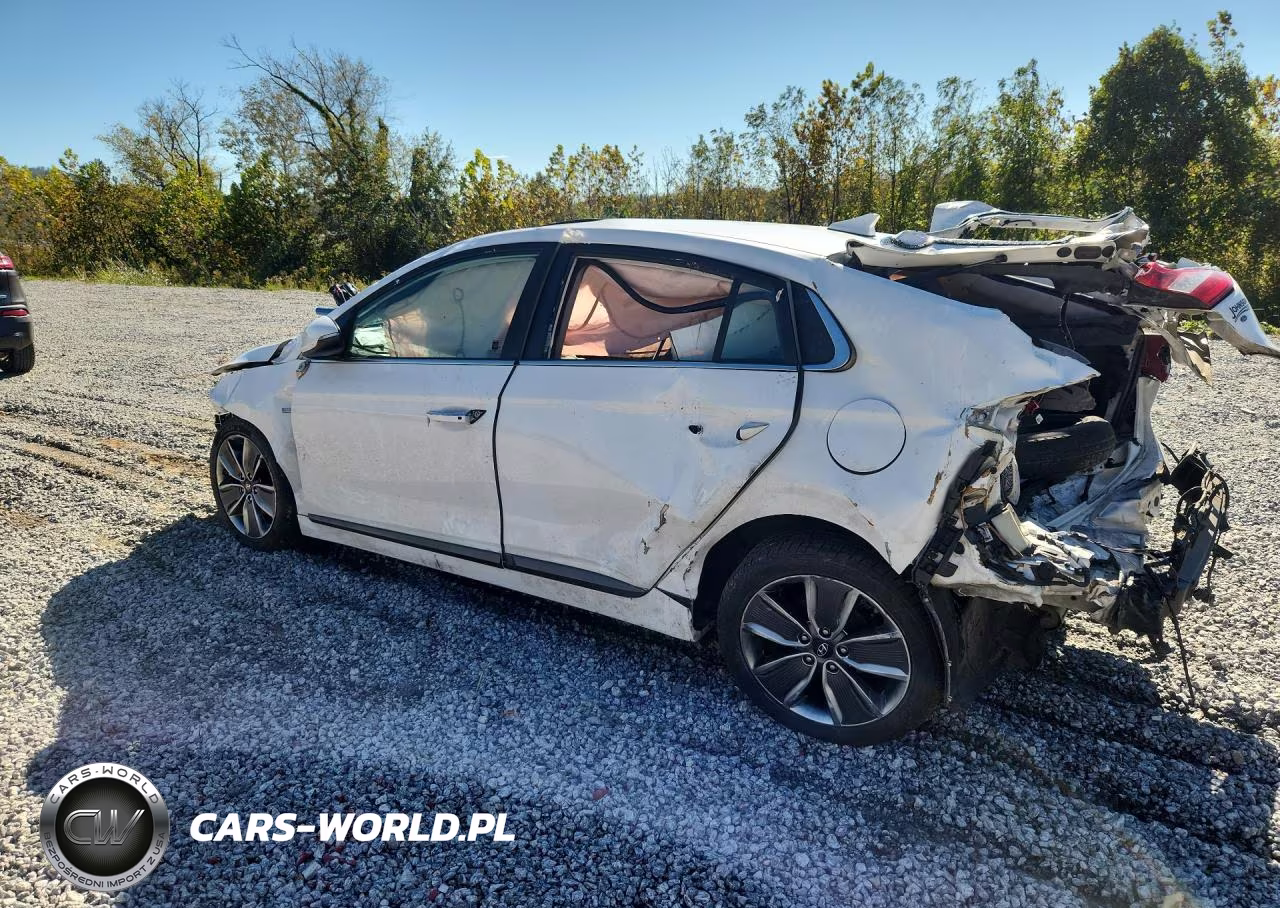 2019 Hyundai Ioniq Limited VIN:KMHC05LC9KU136666 - 2