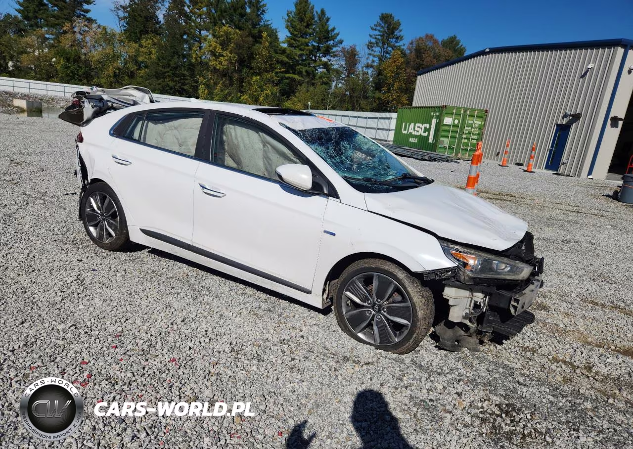 2019 Hyundai Ioniq Limited VIN:KMHC05LC9KU136666 - 4