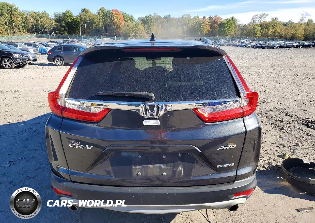 2018 Honda Cr-V Touring VIN:2HKRW2H93JH688326 - 6