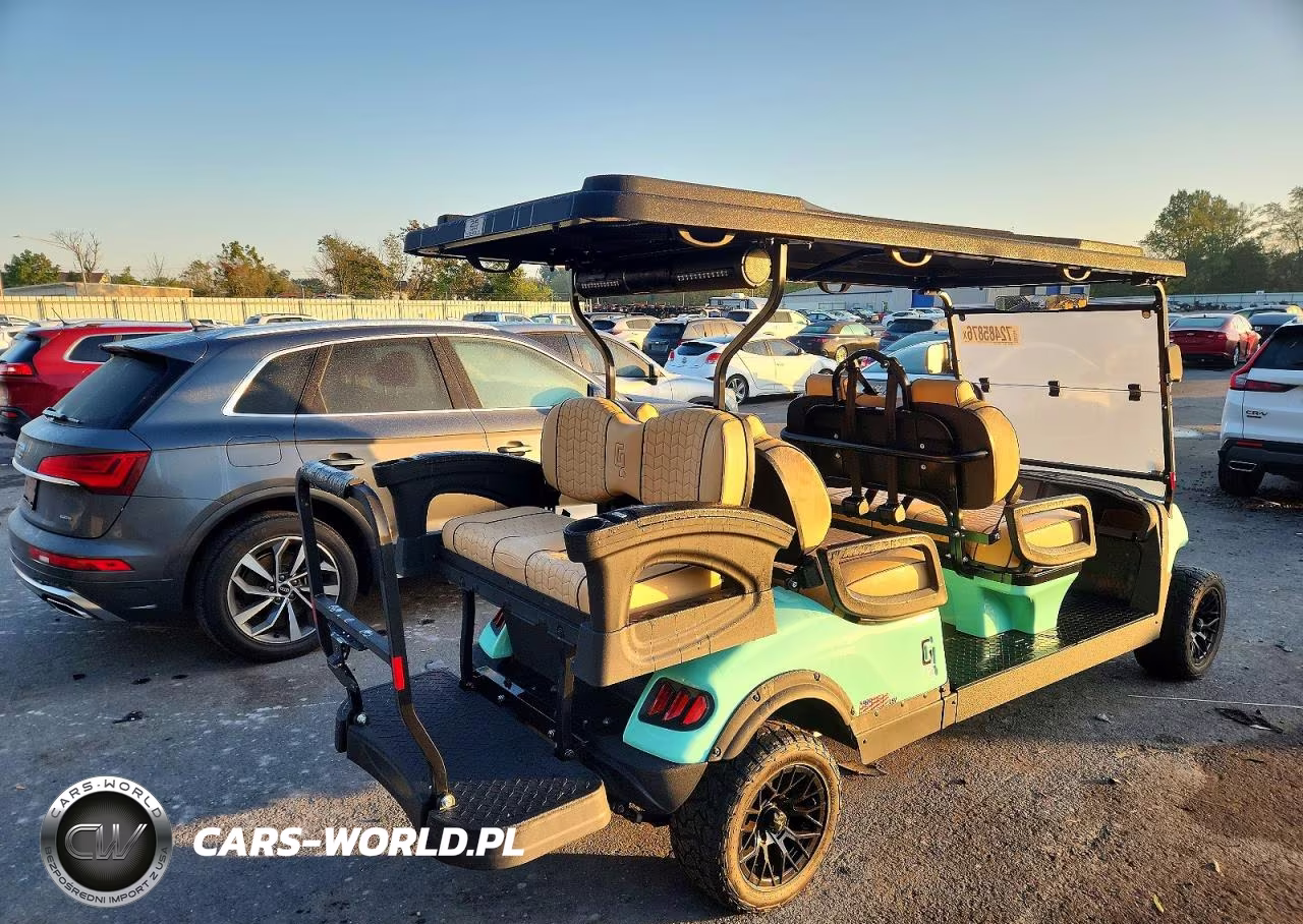 2026 Golf Cart VIN:7VNH9D6G8T1111591 - 4