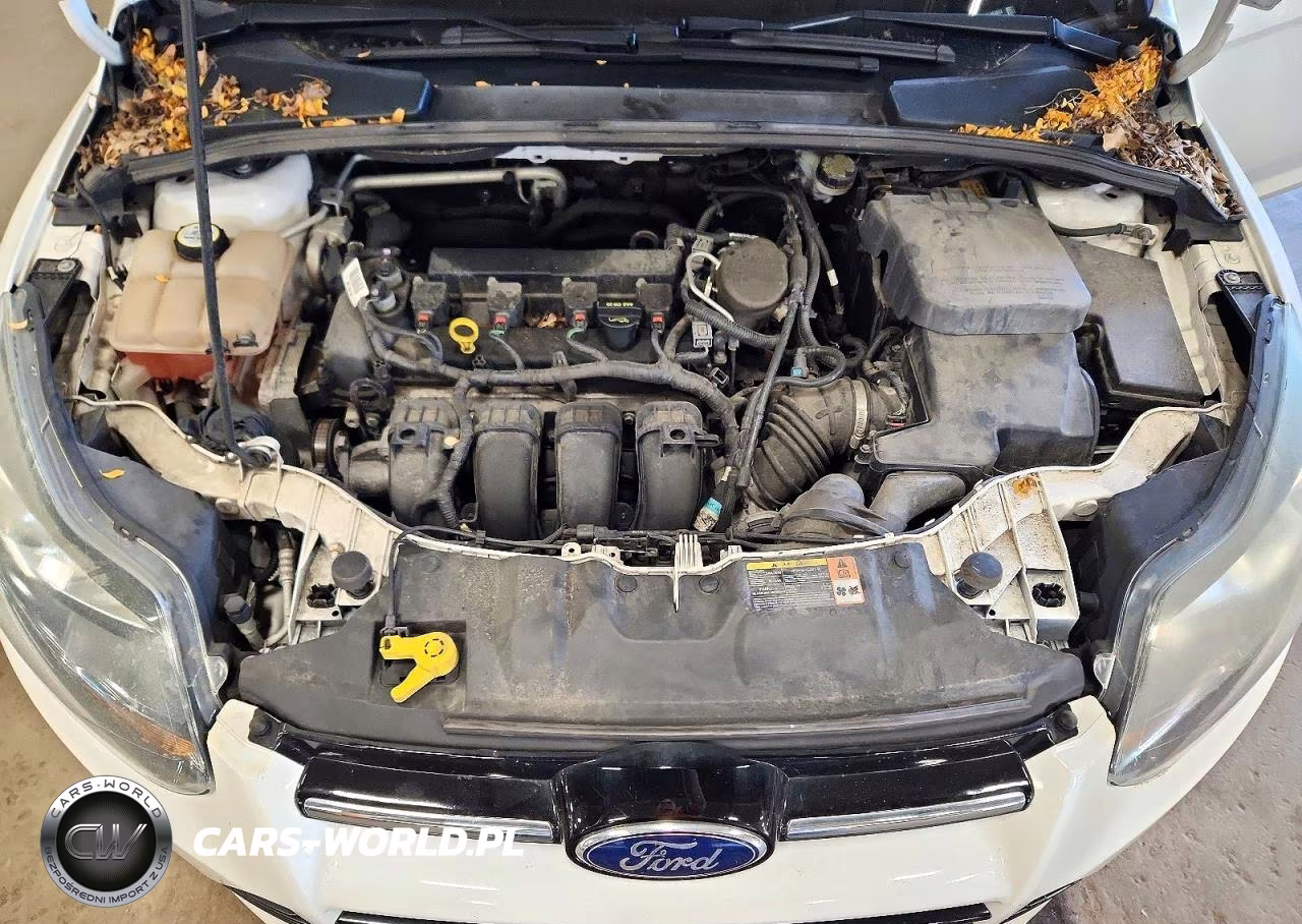 2013 Ford Focus Titanium VIN:1FADP3J25DL263822 - 11