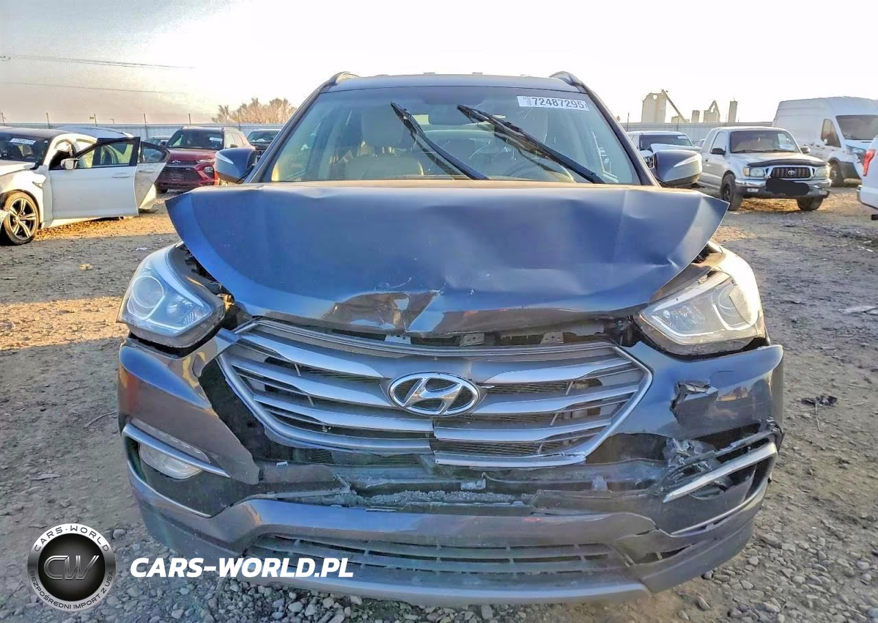 2017 Hyundai Santa Fe Sport VIN:5XYZUDLB4HG444889 - 5