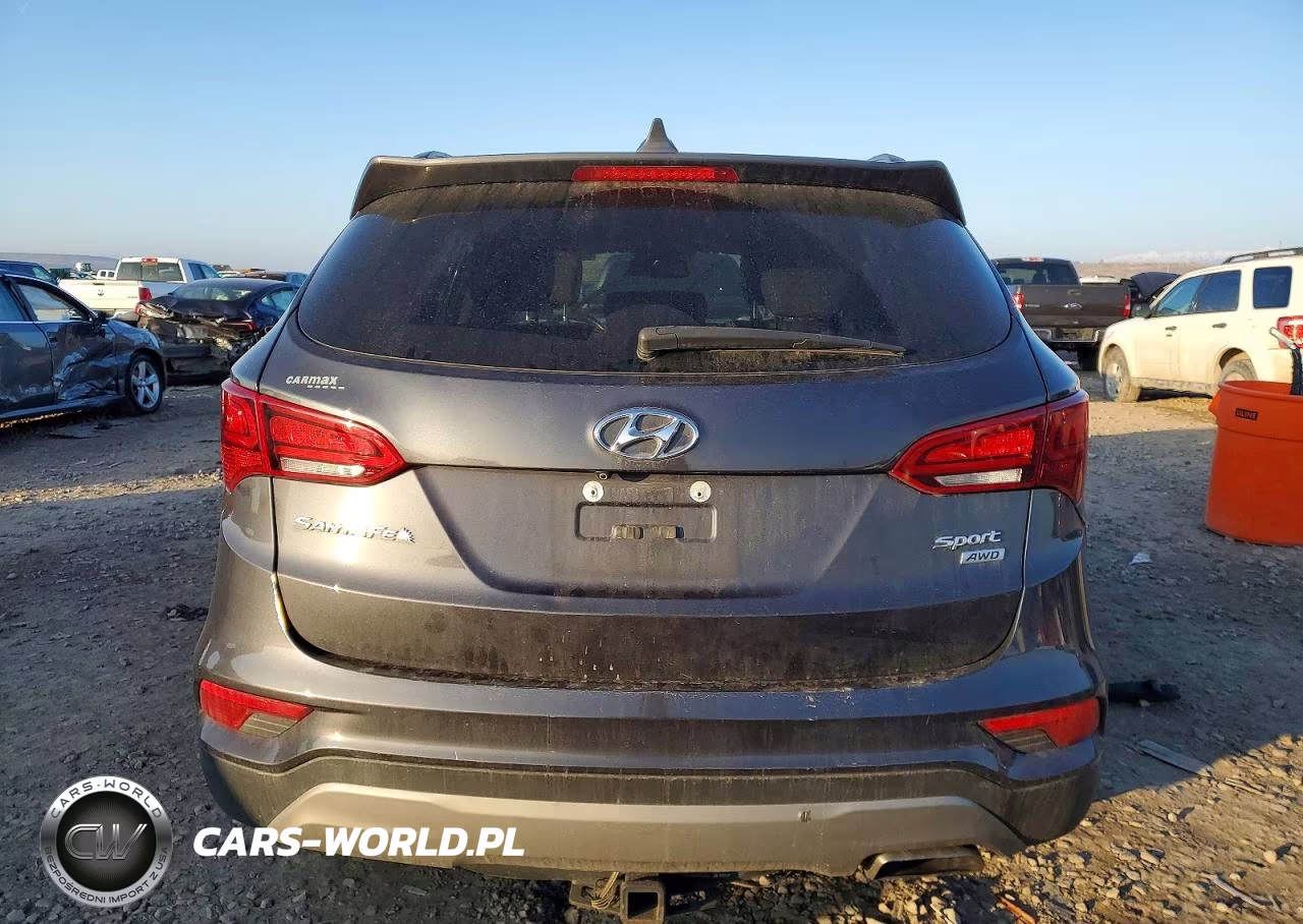 2017 Hyundai Santa Fe Sport VIN:5XYZUDLB4HG444889 - 6