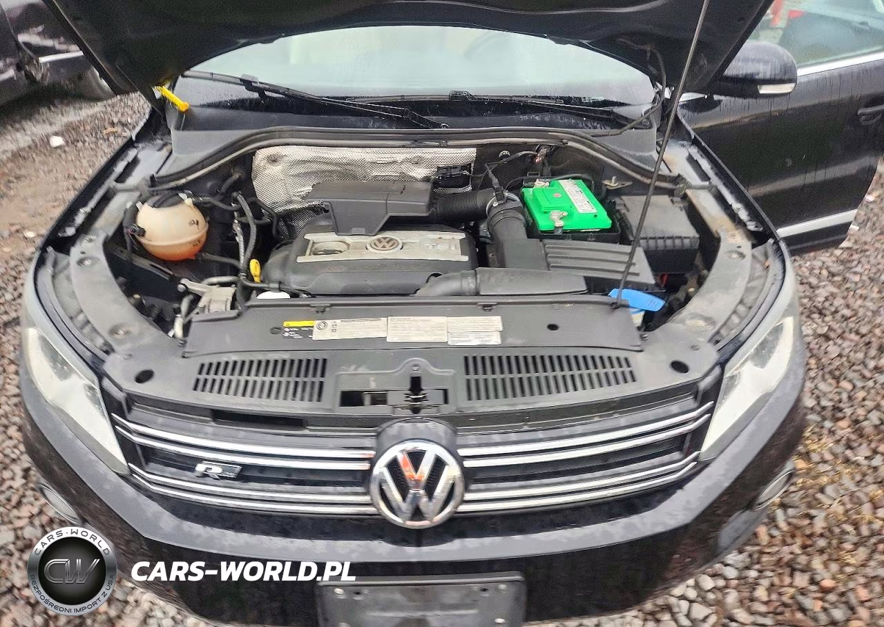2016 Volkswagen Tiguan VIN:WVGBV7AX7GW089003 - 11