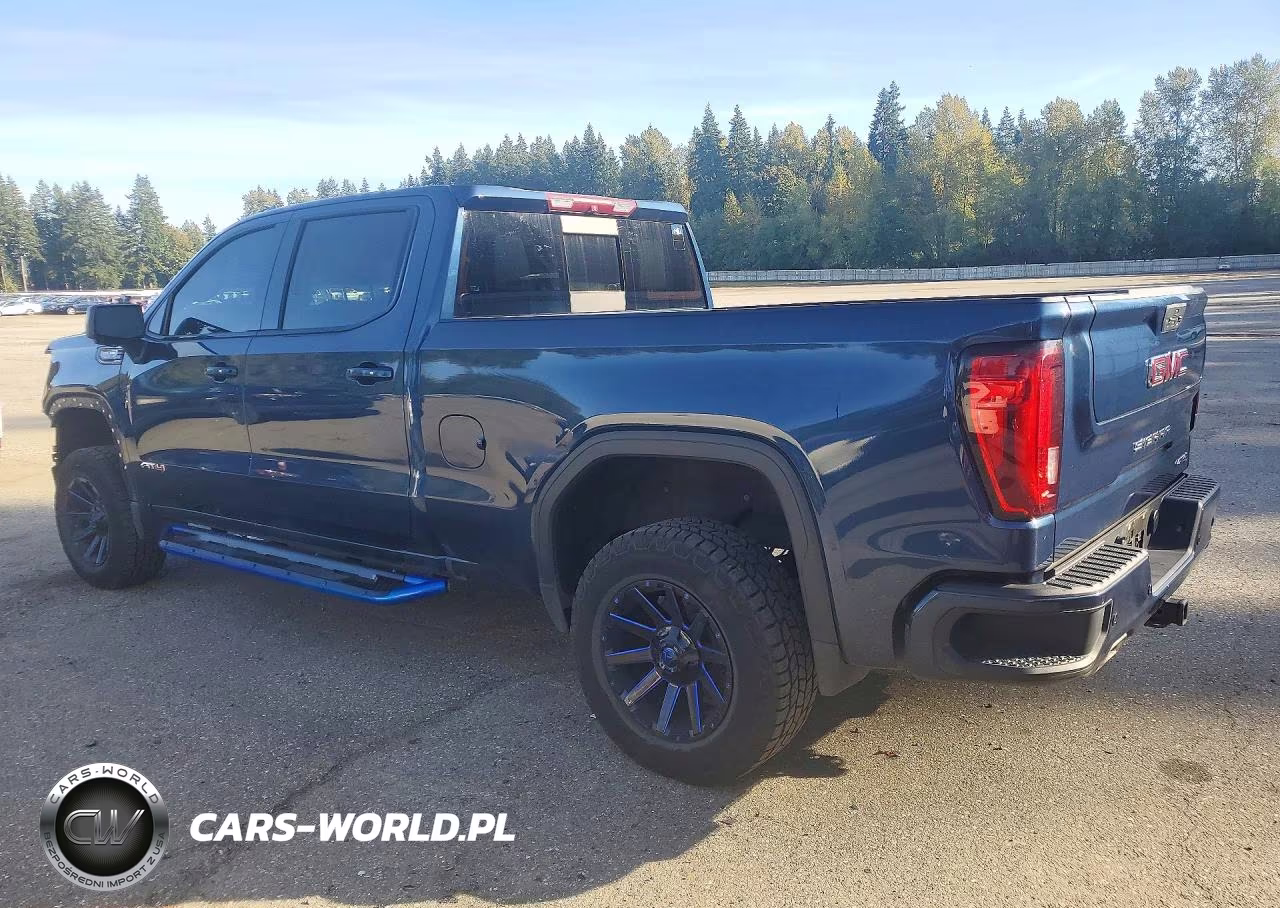 2019 GMC Sierra K1500 At4 VIN:1GTP9EEL5KZ394341 - 2