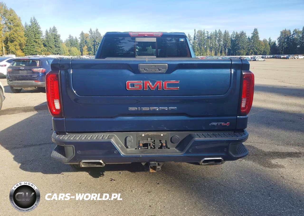 2019 GMC Sierra K1500 At4 VIN:1GTP9EEL5KZ394341 - 6