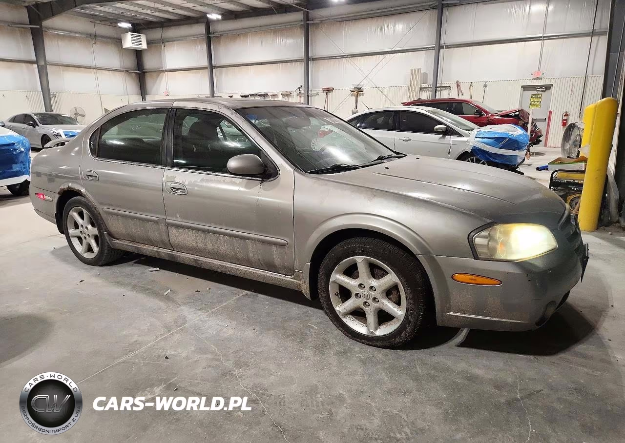 2002 Nissan Maxima Gxe VIN:JN1DA31D32T430370 - 4