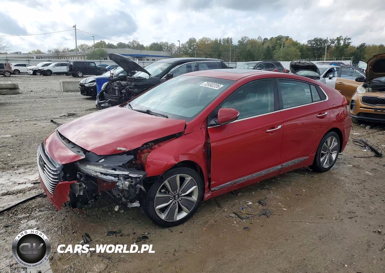 2019 Hyundai Ioniq Limited VIN:KMHC05LC8KU117638 - 1