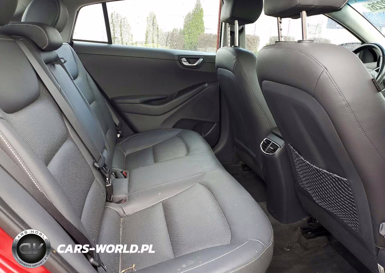 2019 Hyundai Ioniq Limited VIN:KMHC05LC8KU117638 - 10