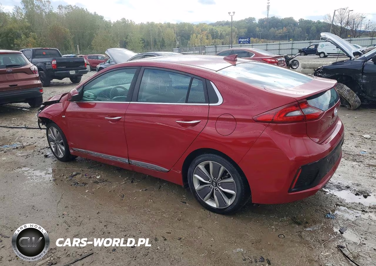 2019 Hyundai Ioniq Limited VIN:KMHC05LC8KU117638 - 2