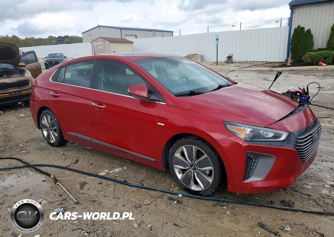 2019 Hyundai Ioniq Limited VIN:KMHC05LC8KU117638 - 4