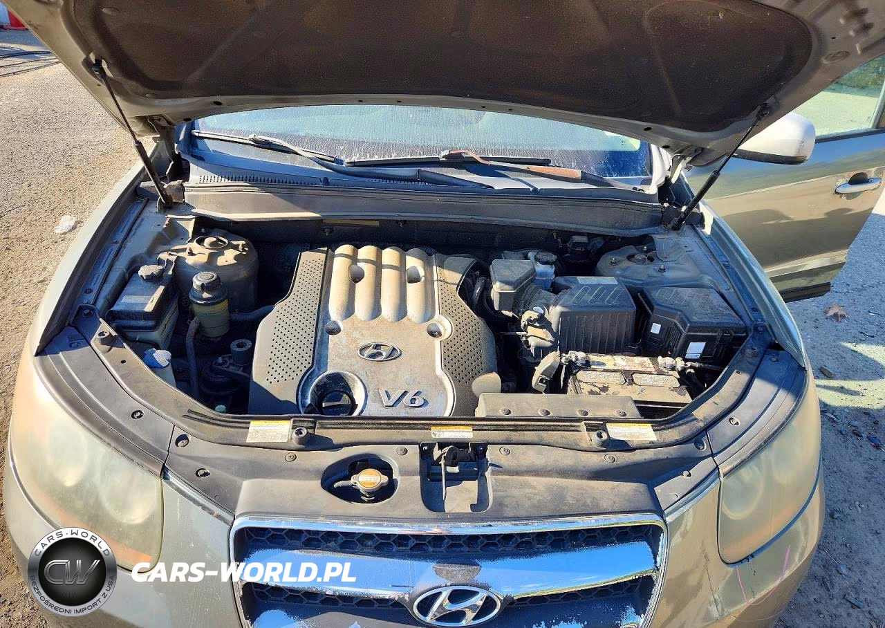 2007 Hyundai Santa Fe Gls VIN:5NMSG13D47H006080 - 12