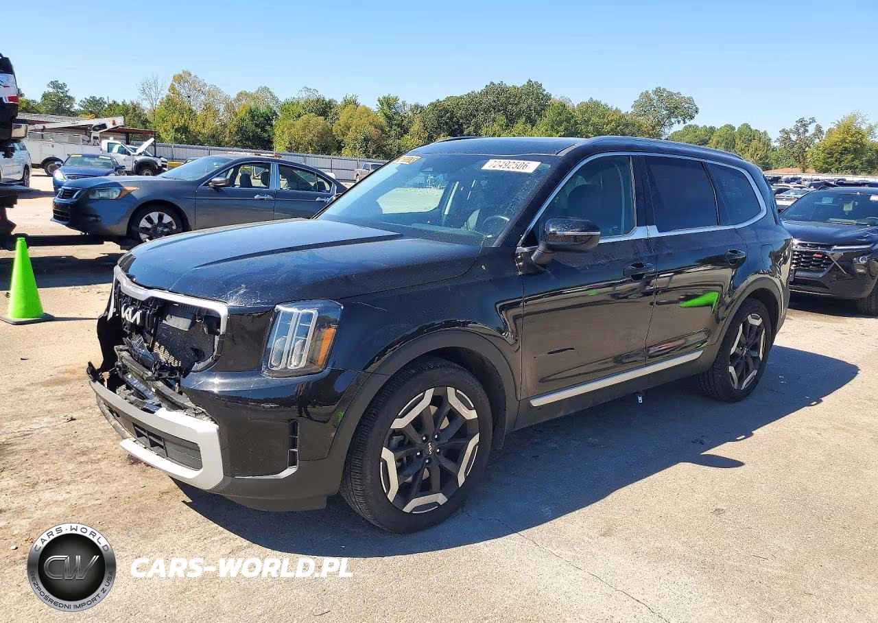 2025 Kia Telluride Ex VIN:5XYP34GC6SG596337 - 1