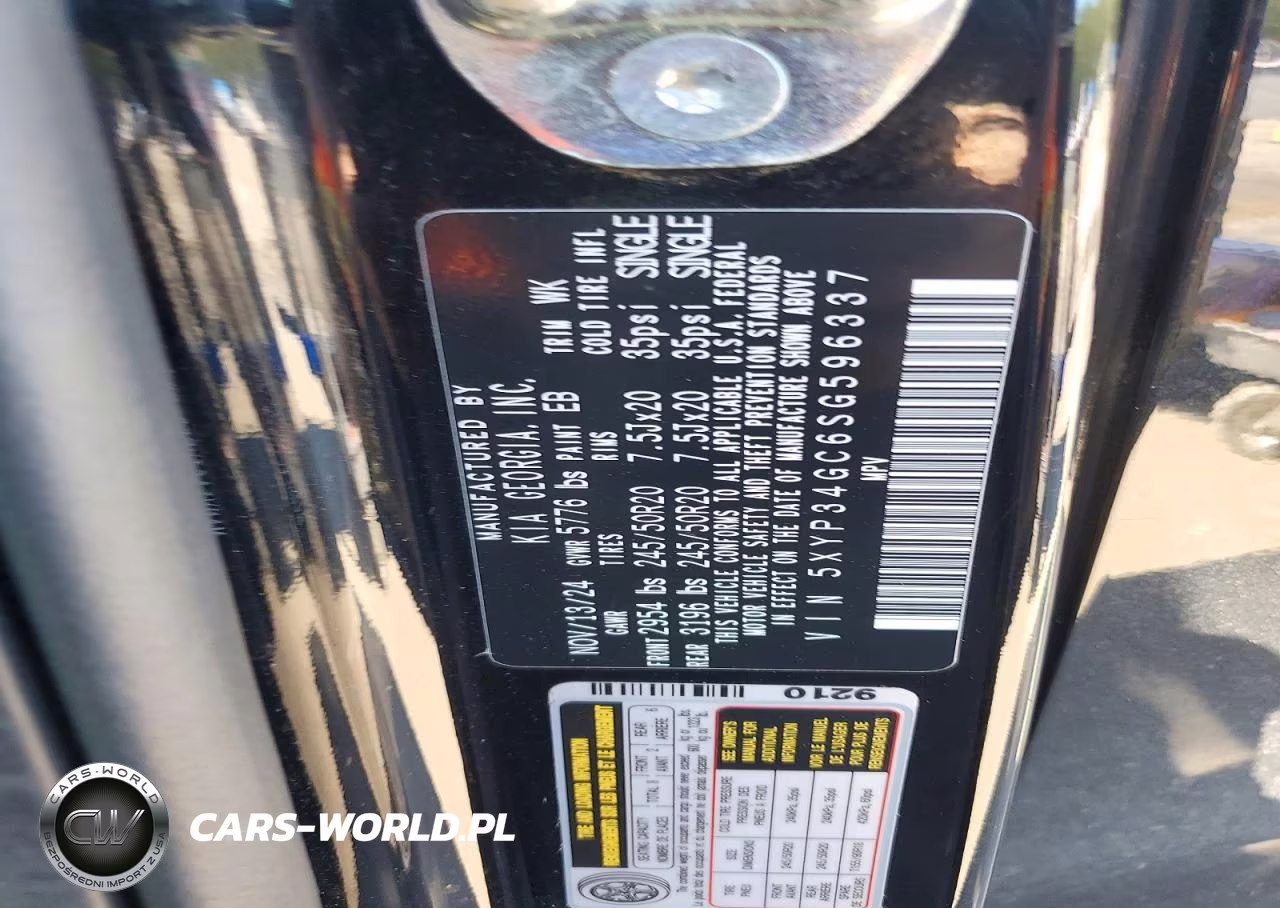 2025 Kia Telluride Ex VIN:5XYP34GC6SG596337 - 13
