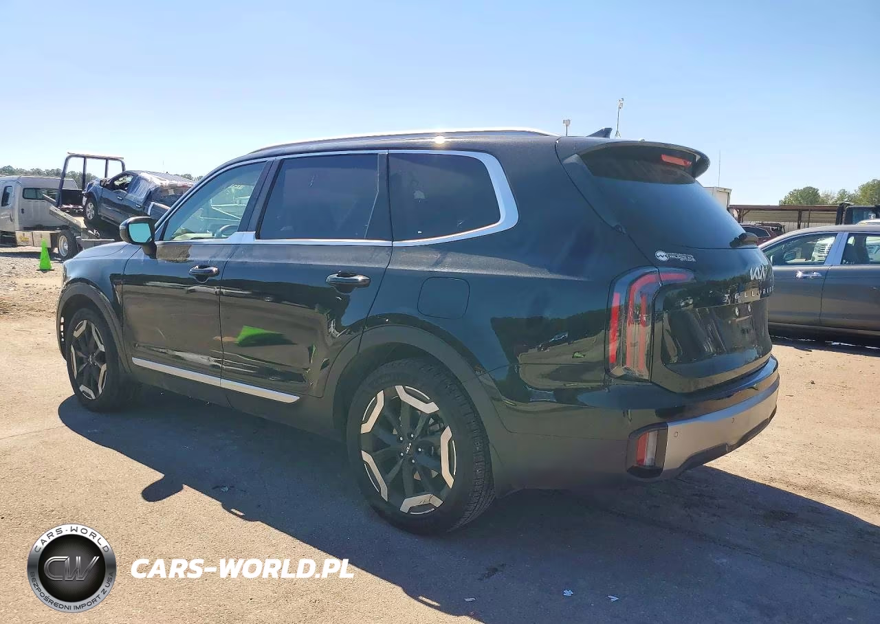 2025 Kia Telluride Ex VIN:5XYP34GC6SG596337 - 2