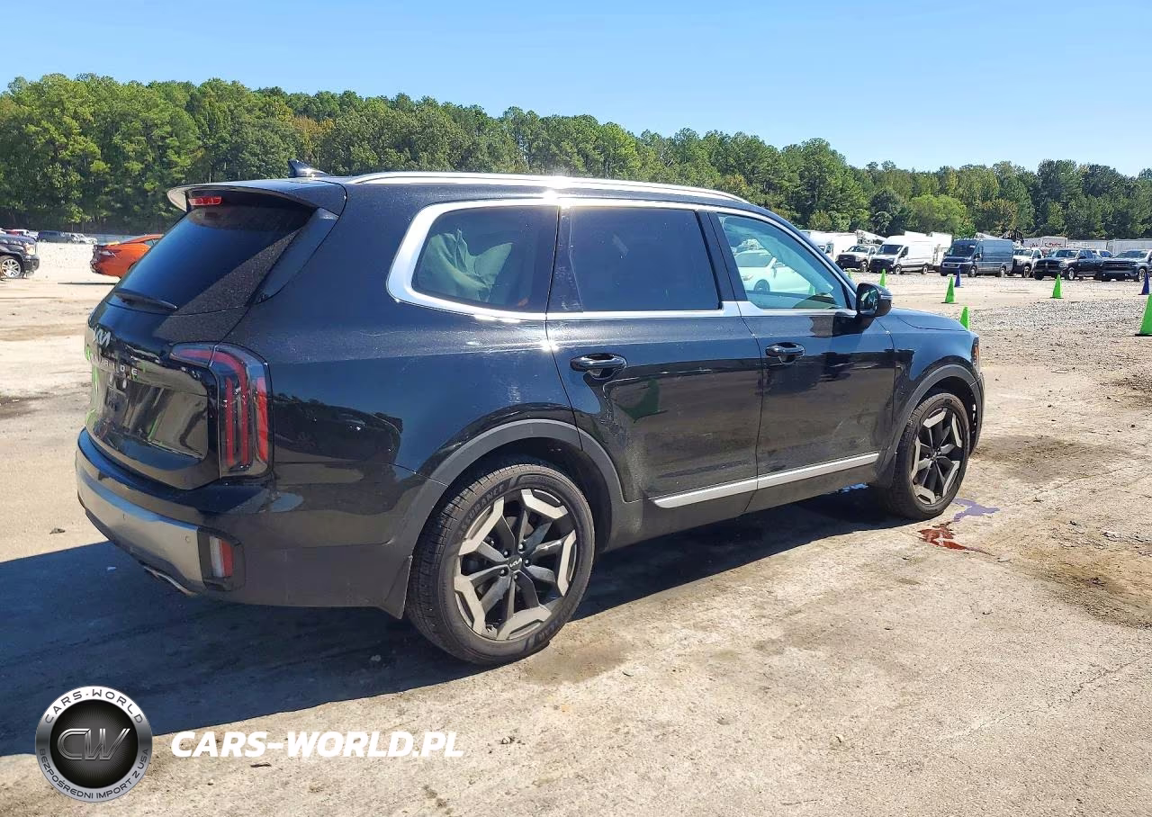 2025 Kia Telluride Ex VIN:5XYP34GC6SG596337 - 3