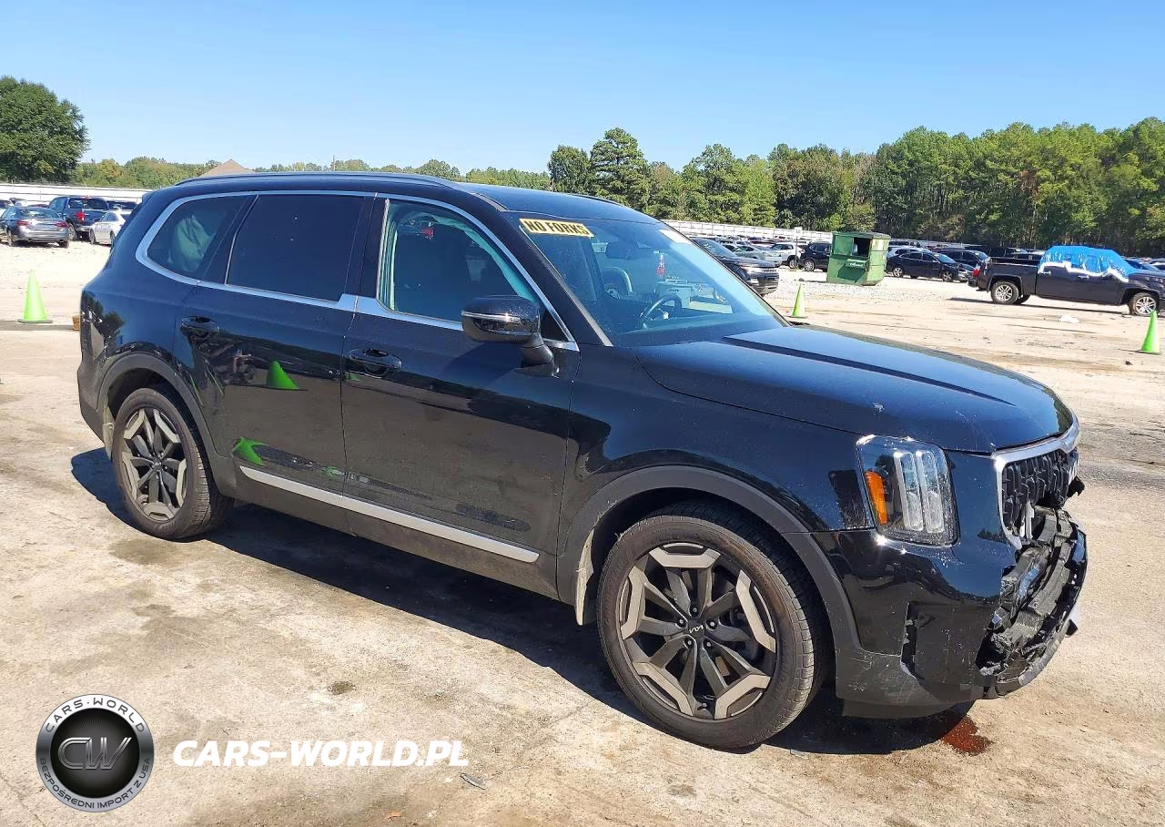 2025 Kia Telluride Ex VIN:5XYP34GC6SG596337 - 4