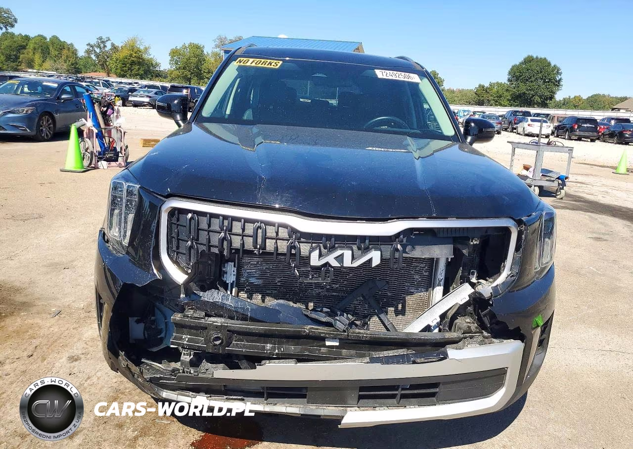 2025 Kia Telluride Ex VIN:5XYP34GC6SG596337 - 5
