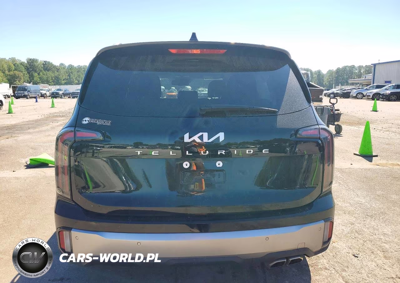 2025 Kia Telluride Ex VIN:5XYP34GC6SG596337 - 6