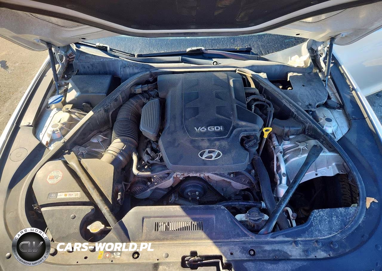2015 Hyundai Genesis 3.8L VIN:KMHGN4JE9FU038261 - 11