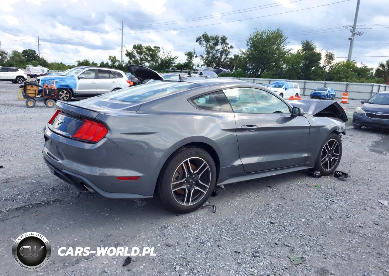 2021 Ford Mustang VIN:1FA6P8TH8M5104546 - 3