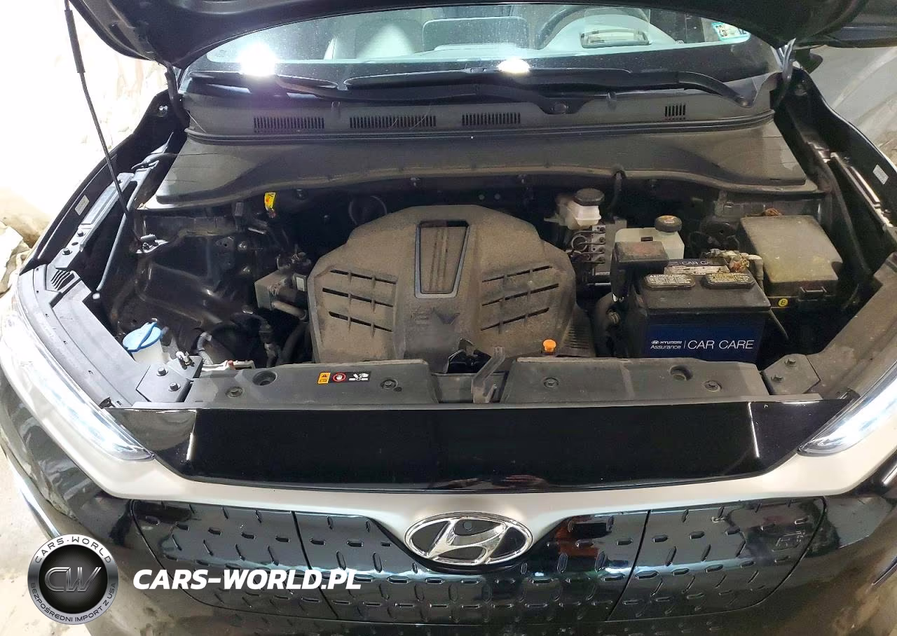 2019 Hyundai Kona Ultimate VIN:KM8K53AG6KU022373 - 12