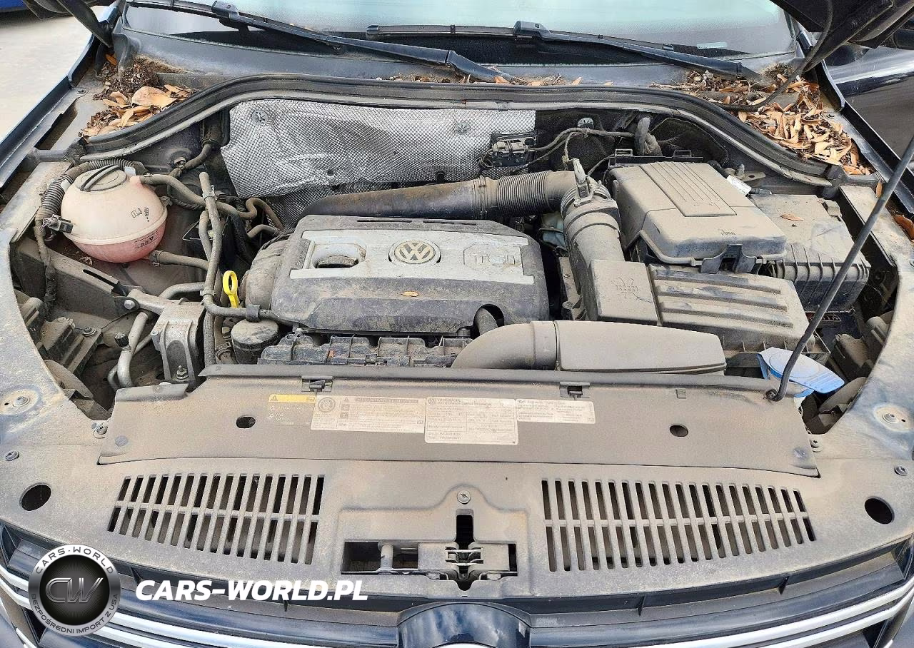 2015 Volkswagen Tiguan S VIN:WVGAV7AX6FW556874 - 12