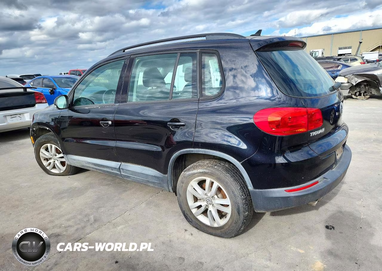 2015 Volkswagen Tiguan S VIN:WVGAV7AX6FW556874 - 2