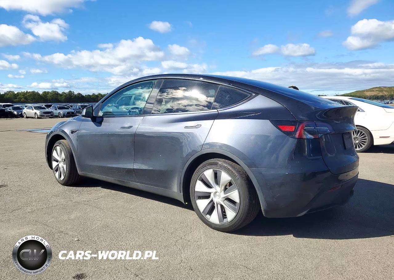 2024 Tesla Model Y VIN:7SAYGDEE2RA286491 - 2