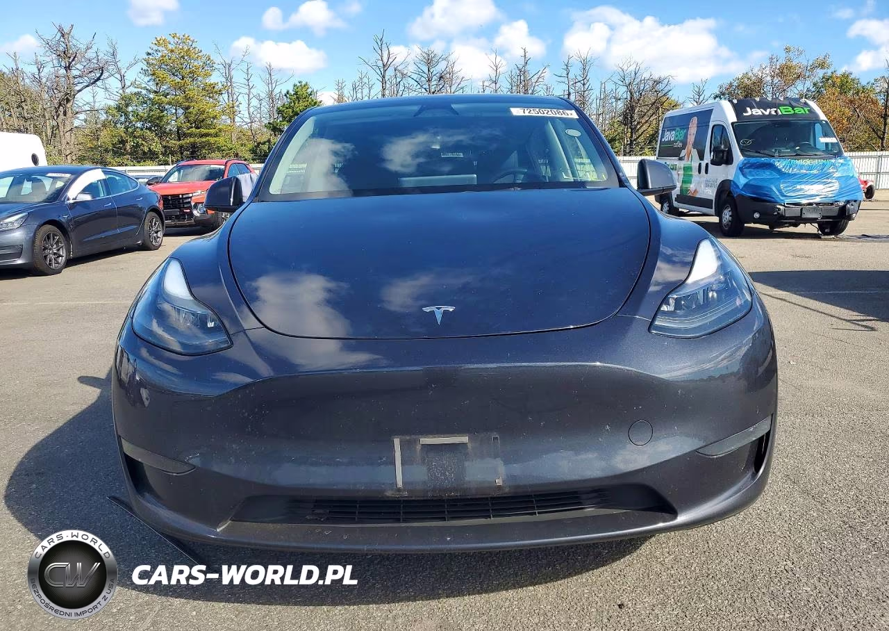 2024 Tesla Model Y VIN:7SAYGDEE2RA286491 - 5