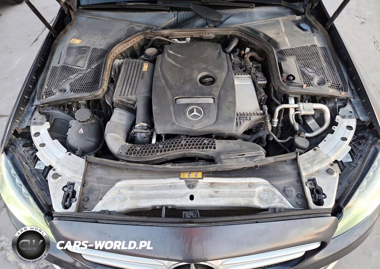 2016 Mercedes-Benz C 300 VIN:55SWF4JB2GU106251 - 11