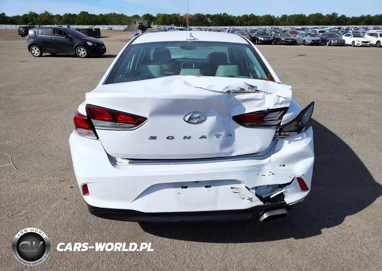2019 Hyundai Sonata Sel VIN:5NPE34AF4KH816576 - 6