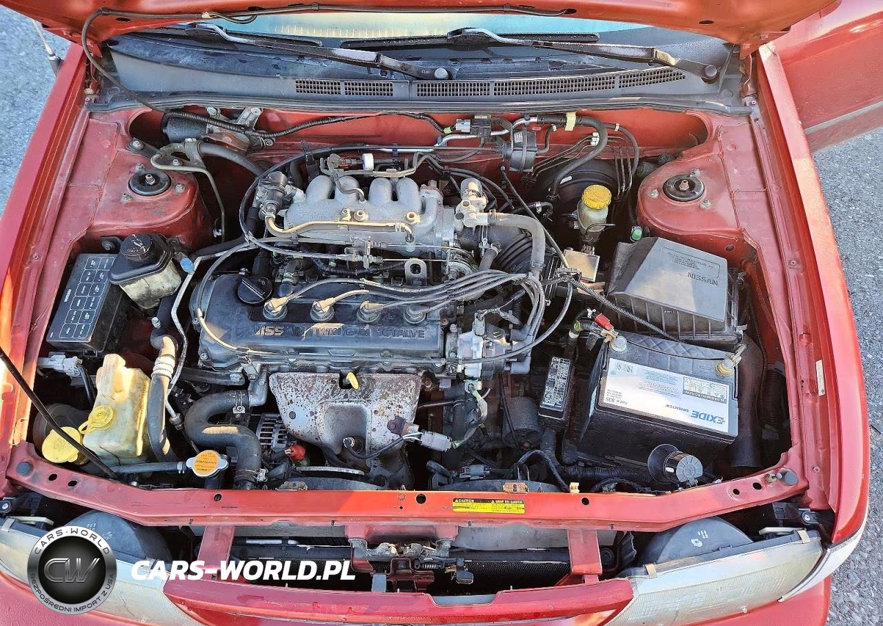 1998 Nissan Sentra Base VIN:1N4AB41D5WC749736 - 11