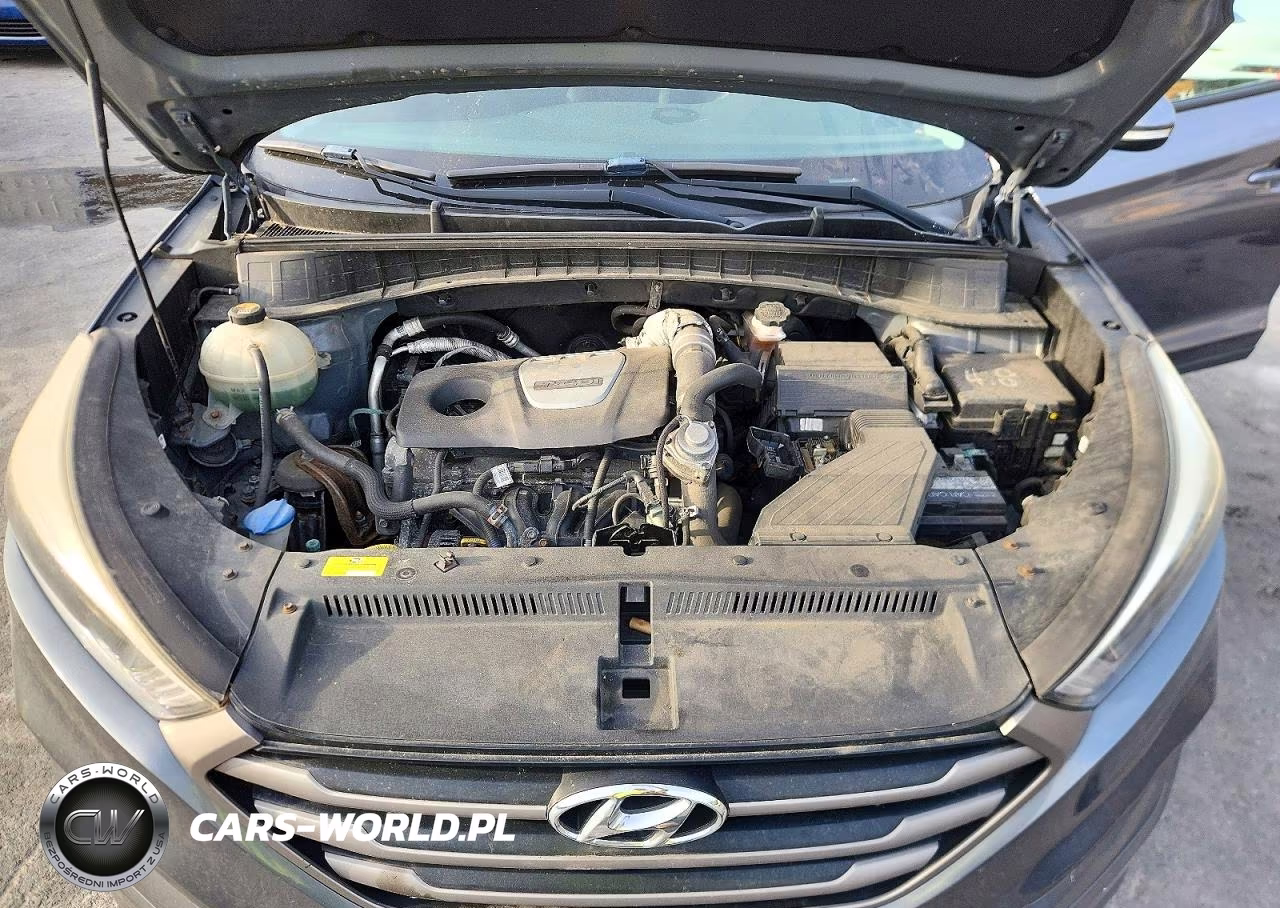 2016 Hyundai Tucson Eco VIN:KM8J3CA23GU124937 - 12
