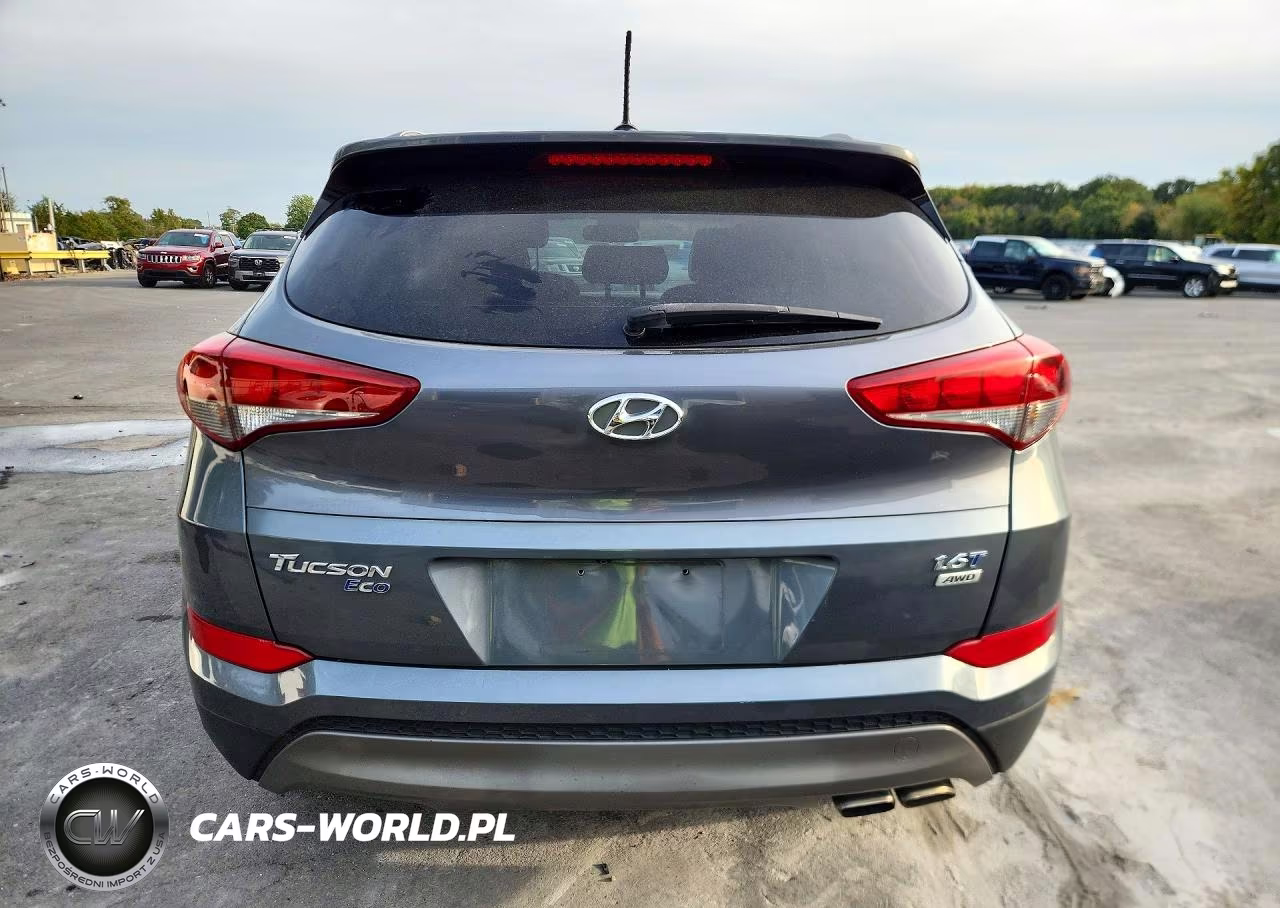 2016 Hyundai Tucson Eco VIN:KM8J3CA23GU124937 - 6