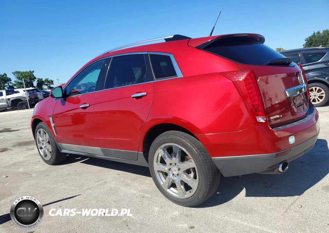 2010 Cadillac Srx Premium Collection VIN:3GYFNFEY9AS600341 - 2