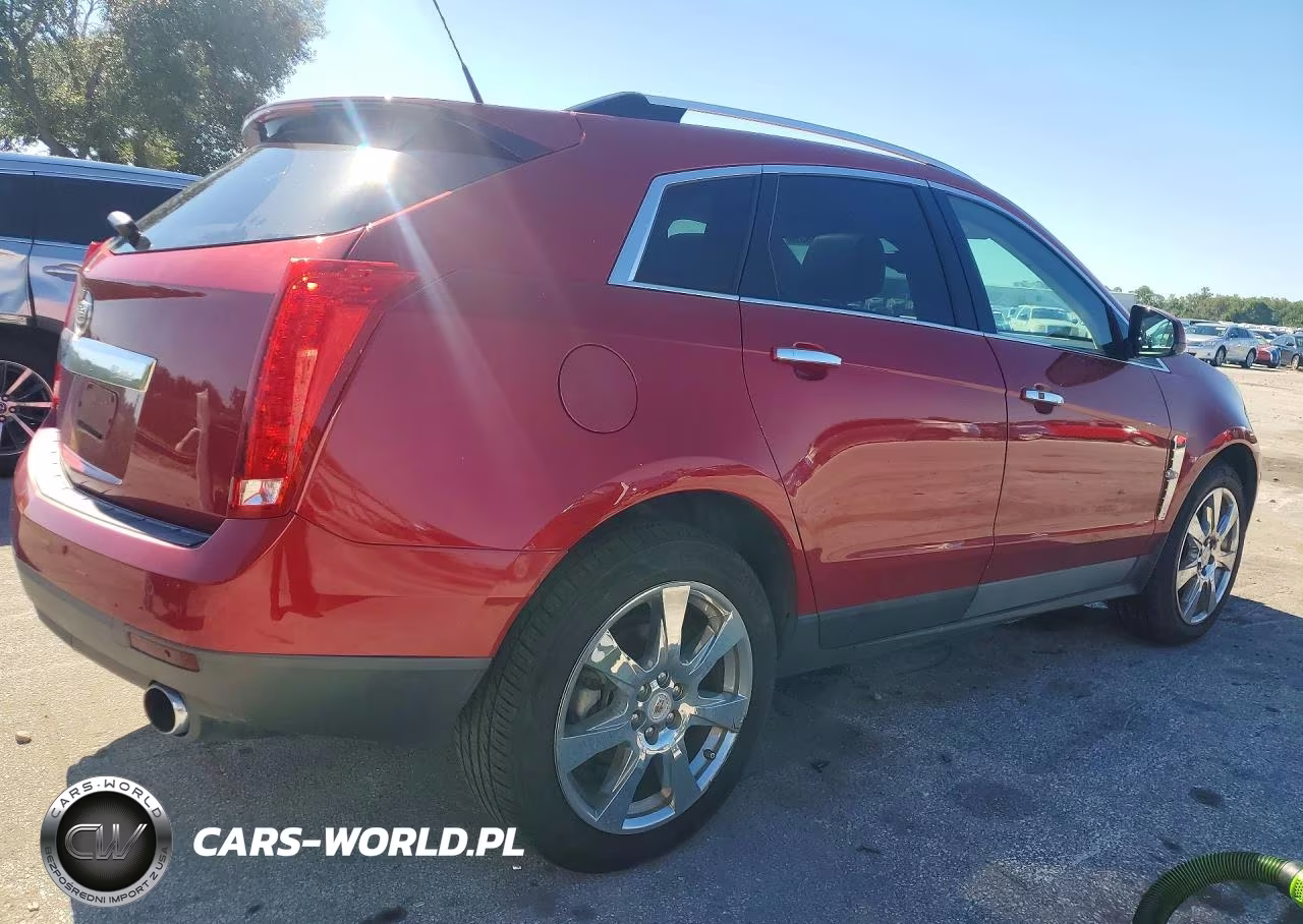 2010 Cadillac Srx Premium Collection VIN:3GYFNFEY9AS600341 - 3