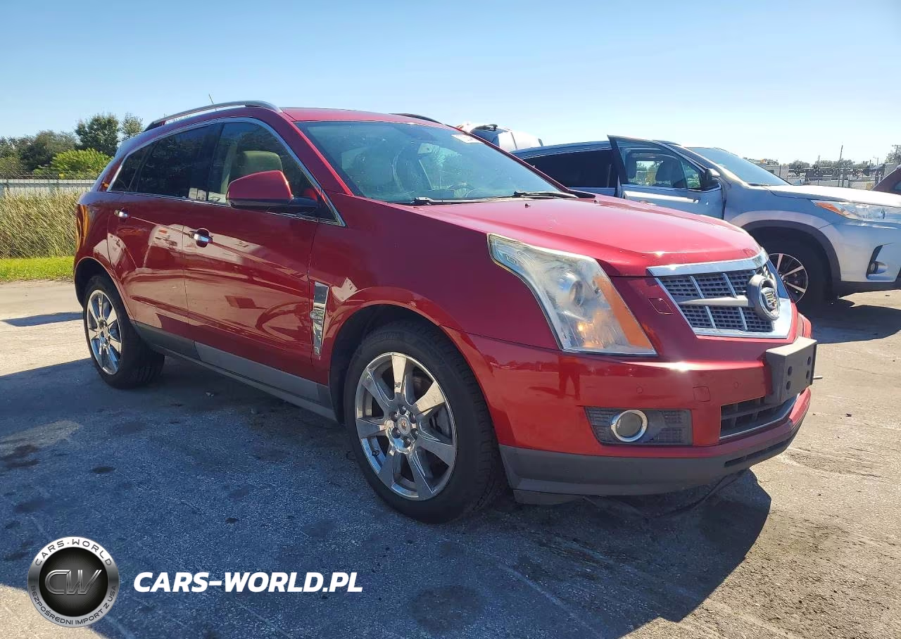 2010 Cadillac Srx Premium Collection VIN:3GYFNFEY9AS600341 - 4