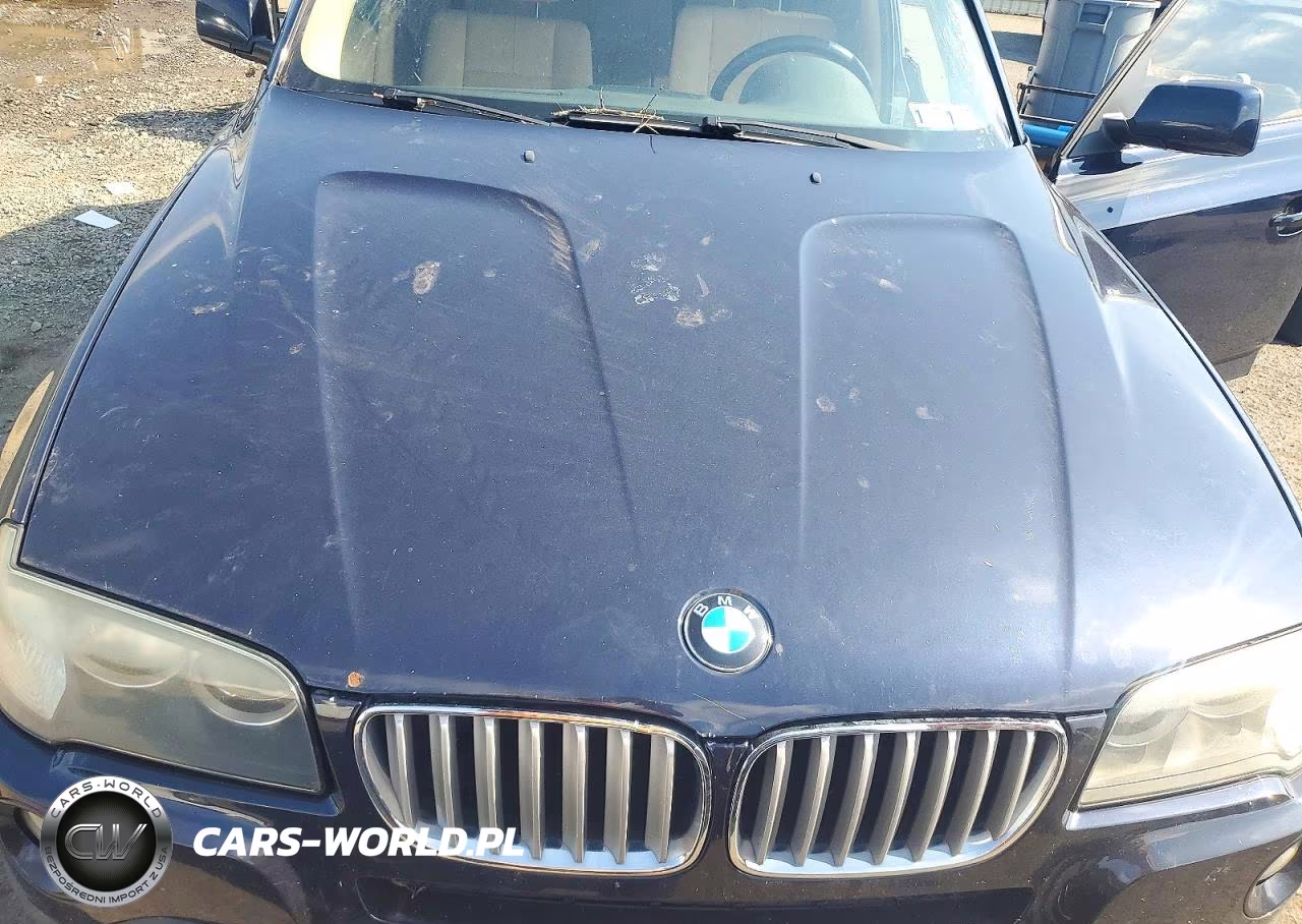 2009 BMW X3 xDrive30I VIN:WBXPC93499WJ27318 - 12