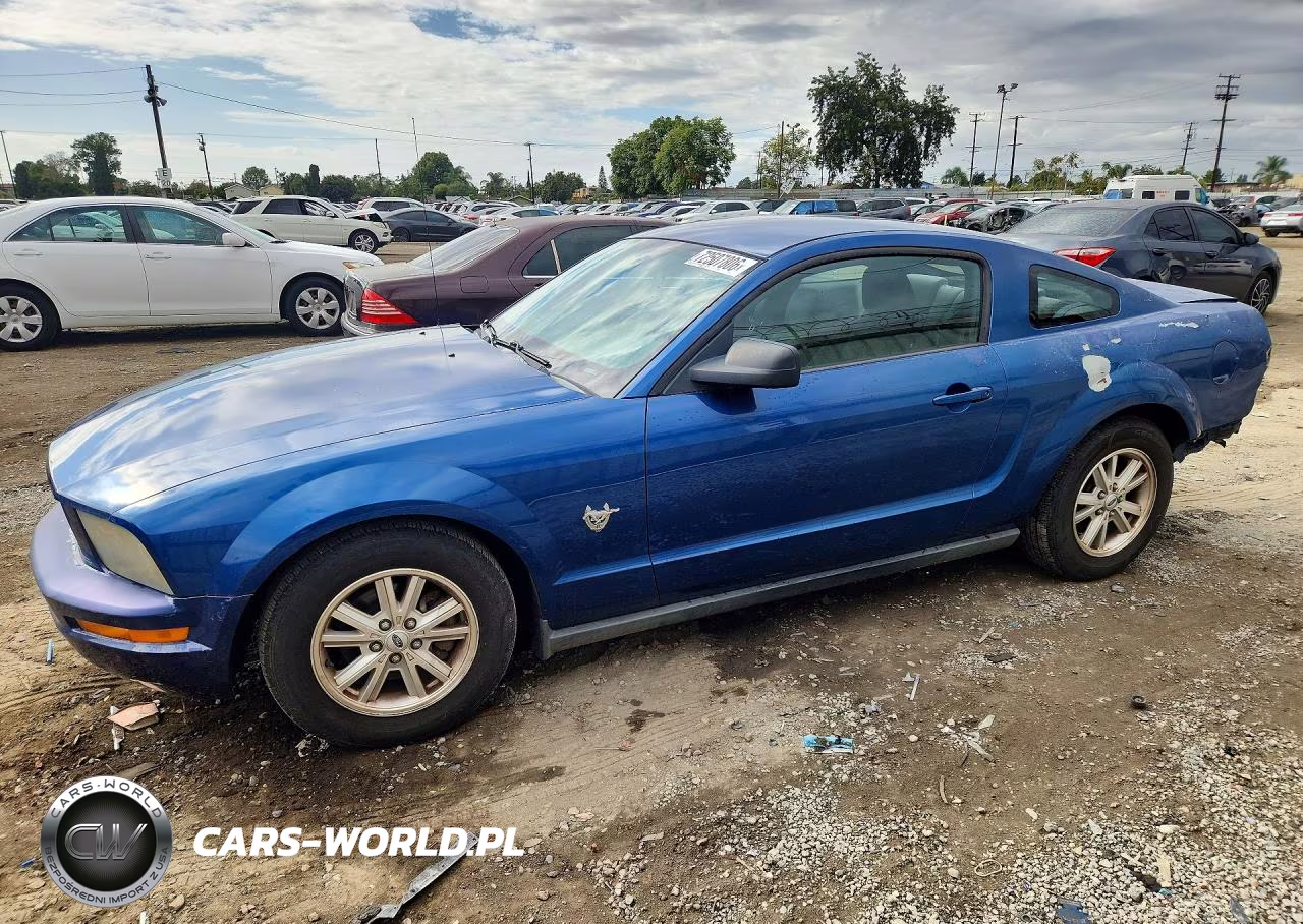2009 Ford Mustang – zdjęcie 1 z 13