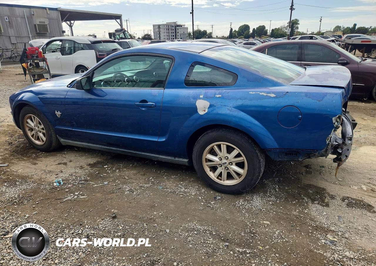 2009 Ford Mustang VIN:1ZVHT80N795132142 - 2