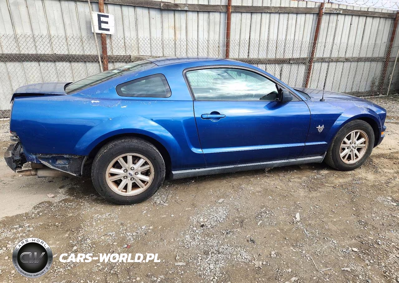 2009 Ford Mustang VIN:1ZVHT80N795132142 - 3